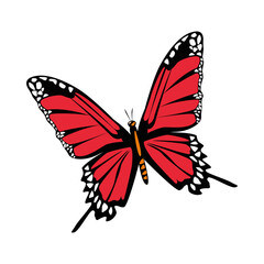 beautiful red butterfly flying isolated icon
