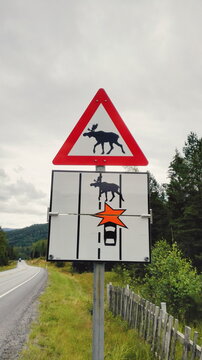 Moose traffic sign in Norway