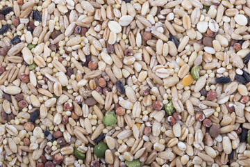 miscellaneous grains, millet, minor grains, various grains.