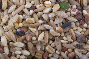 miscellaneous grains, millet, minor grains, various grains.