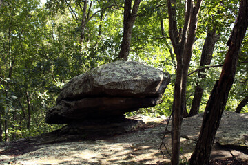 stone in the forest