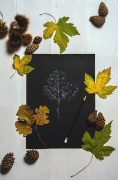 Autumn theme background with chestnut and maple leaves
