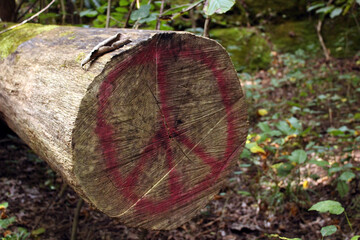 Peace painted on chopped tree
