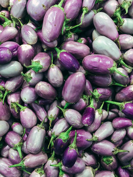 top view of purple eggplants