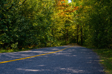 Paved bike path through the woods