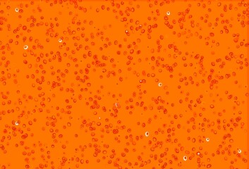 Light Orange vector template with circles.