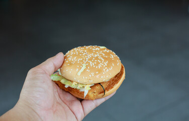 Fast food, Hamberger on hand of man