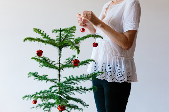 Unrecognisable woman decorating a small Norfolk Island Pine Tree for Christmas - horizontal