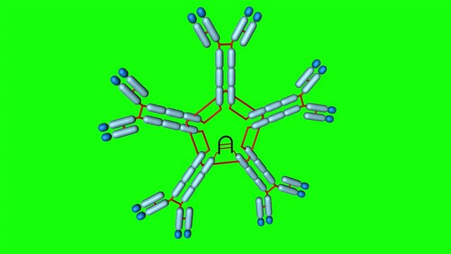 Inmonuglobulina IgG en 3D. Anticuerpos y prote&iacute;nas en el cuerpo humano..