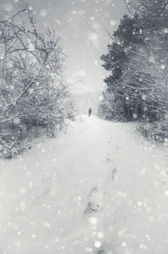 Man in winter fairy tale landscape with snow