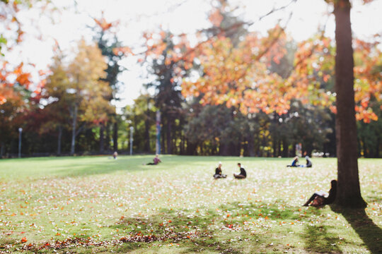 Blury tilt shift image of trees and people sitting in field during autumn