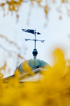 Weather vane and autumn leaves