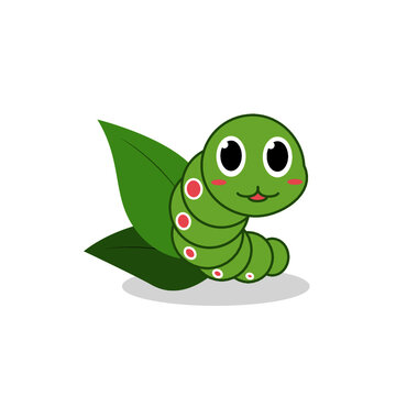 Green tea worm