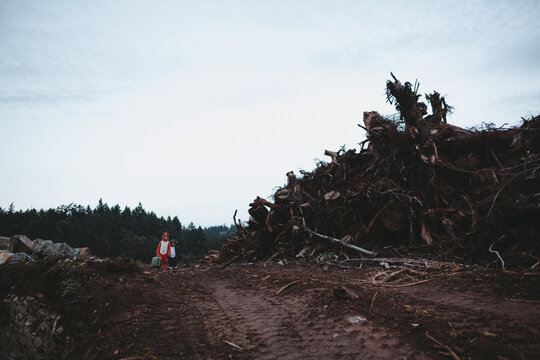 Kids dressed up like fox and raccoon walking away from destroyed home
