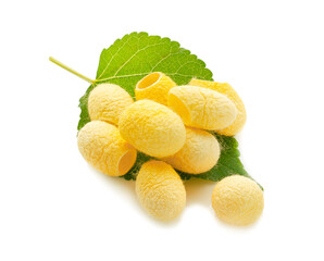 yellow thai silkworm cocoons pile an isolated on white background