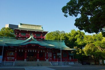 Obraz premium 富岡八幡宮夕景 社殿と神社の森