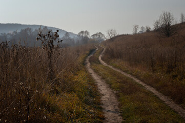 Landscape. Country road in the village.