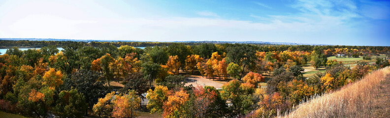Orange and Green View