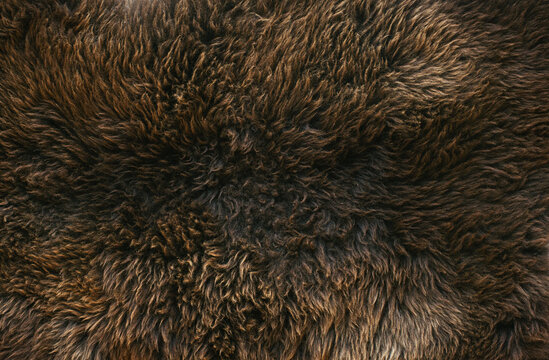 Brown Sheepskin