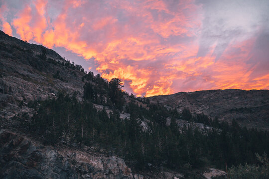 Heading Out of Yosemite