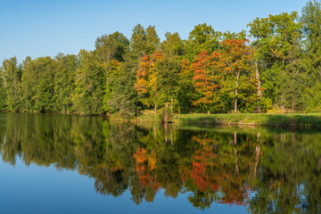 Beautiful view of a river in Sweden, with autumn colored trees and autumn sunlight
