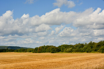 Fototapeta premium Beautiful autumn landscape, yellow mown field, rain clouds in the sky