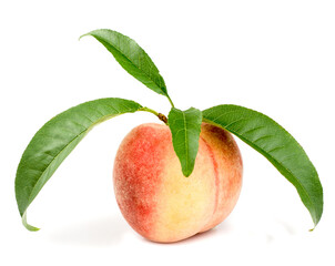 Peach isolated on a white background