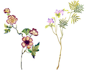 Flowers watercolor illustration.Manual composition.Big Set watercolor elements.