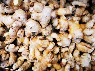 Ginger (Zingiber officinale) is a flowering plant whose rhizome, ginger root or ginger, is widely used as a spice and a folk medicine. 