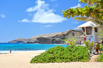 Fototapeta premium lifeguard station overlooking tropical beach at Sandy Beach on Oahu, Hawaii. 