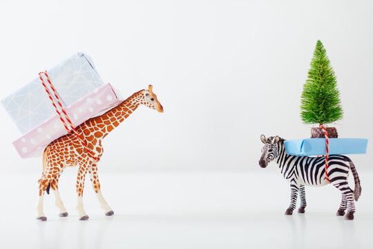Toy giraffe and zebra carrying Christmas gifts on white.