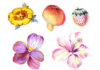 Fototapeta premium Flowers watercolor illustration. Manual composition. Big Set watercolor elements.