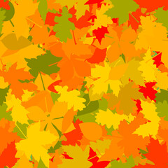 Seamless pattern with colorful autumn leaves. Vector background.