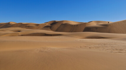 Fototapeta na wymiar Beige colored sand dunes with blue sky near Swakopmund, Namib desert, Namibia, Africa.