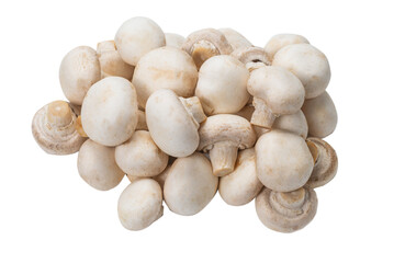 Champignon mushroom isolated on white background.