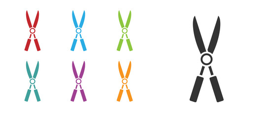 Black Gardening handmade scissors for trimming icon isolated on white background. Pruning shears with wooden handles. Set icons colorful. Vector Illustration.