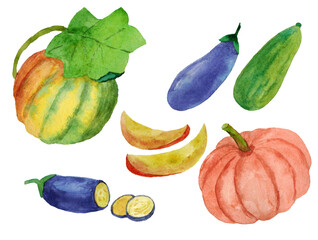 Vegetable set with eggplant, pumpkin and zucchini. Drawn in watercolor by hand. Elements are isolated on a white background.