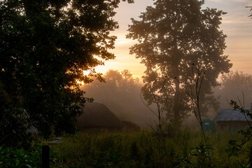 misty morning in the rural