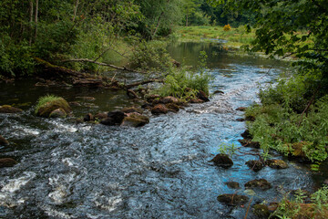 river in the forest. midsummer. Russia