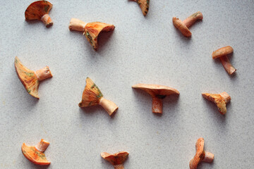  Background of freshly picked redheads on the kitchen table, top view, close-up