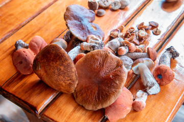 forest mushrooms on a wooden board