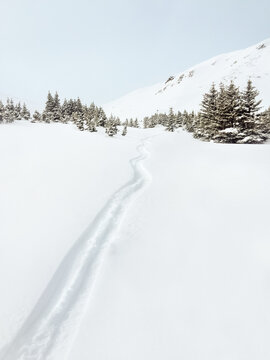 Ski tracks in fresh powder snow