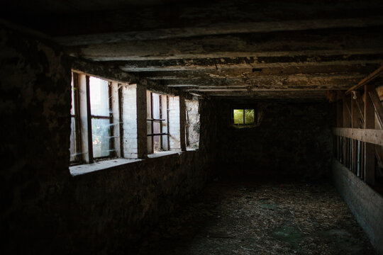 Old Cellar