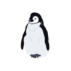 Vector illustration of a realistic penguin on white isolated background. Template for postcard, poster, logo, web design.