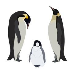 Vector illustration of a family of penguins