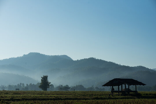 Silent place.