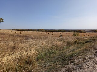 Haystack