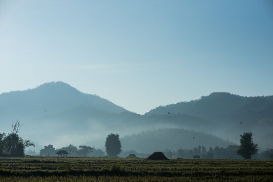 Silent place.