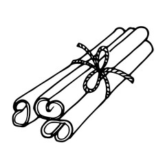 Cinnamon sticks tied with a rope with a knot.  Seasoning.  Spice.  Design for postcards, coloring pages, social networks, networks, advertisements, banners, menus.  Vector graphics.  Doodle style.