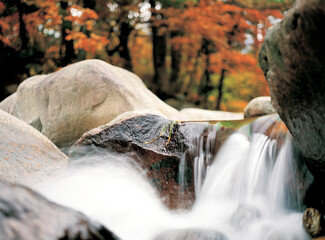flowing stream in the mountain river